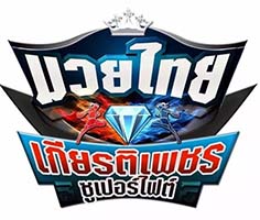 นายพีรพงษ์ ธีระเดชพงศ์