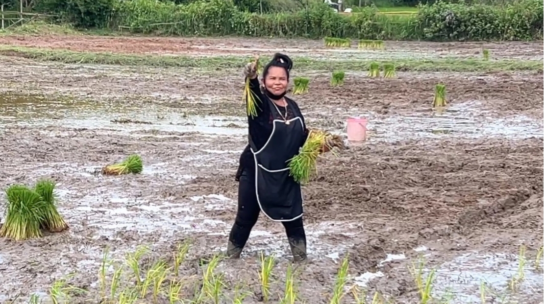 ชีวิตล่าสุด "เจ๊อ๋อ 90 ล้าน" เงินหมดแล้ว มารับจ้างดำนา บอกตอนนี้โคตรมีความสุข