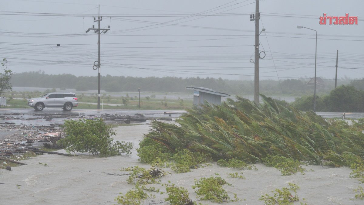 สภาพอากาศวันนี้ กรมอุตุฯ เตือนฝนถล่มใต้-อันตราย ไทยตอนบนยังเย็น