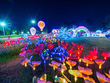 CHARMING Chiang Mai Flower Festival 2025