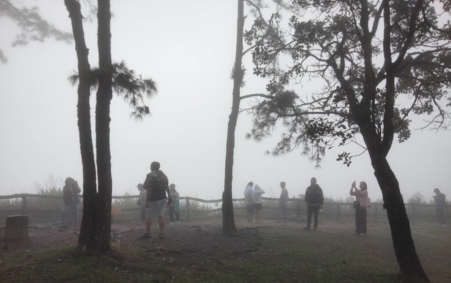 หนาวมาแล้ว ภูกระดึง-ภูเรือ-ภูหลวง อุณหภูมิลดฮวบ อากาศเริ่มเย็นสาย-หมอกเต็มถนน