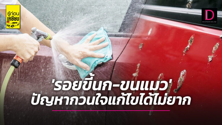 ‘รอยขี้นก-ขนแมว’ ปัญหากวนใจแก้ไขได้ไม่ยาก