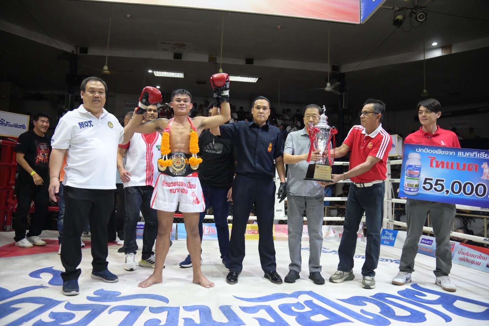 Muaythai-News