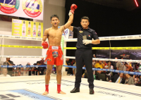 Muaythai-News