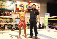 Muaythai-News