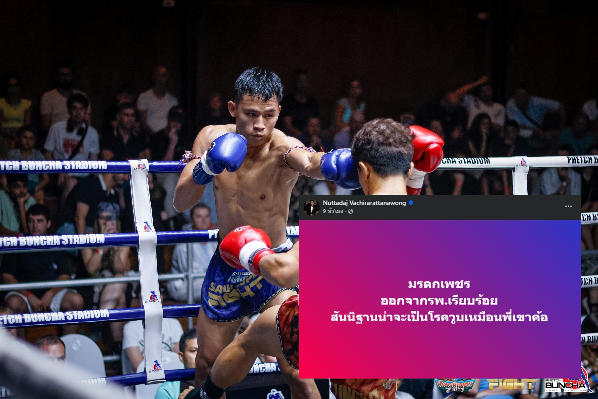 Muaythai-News