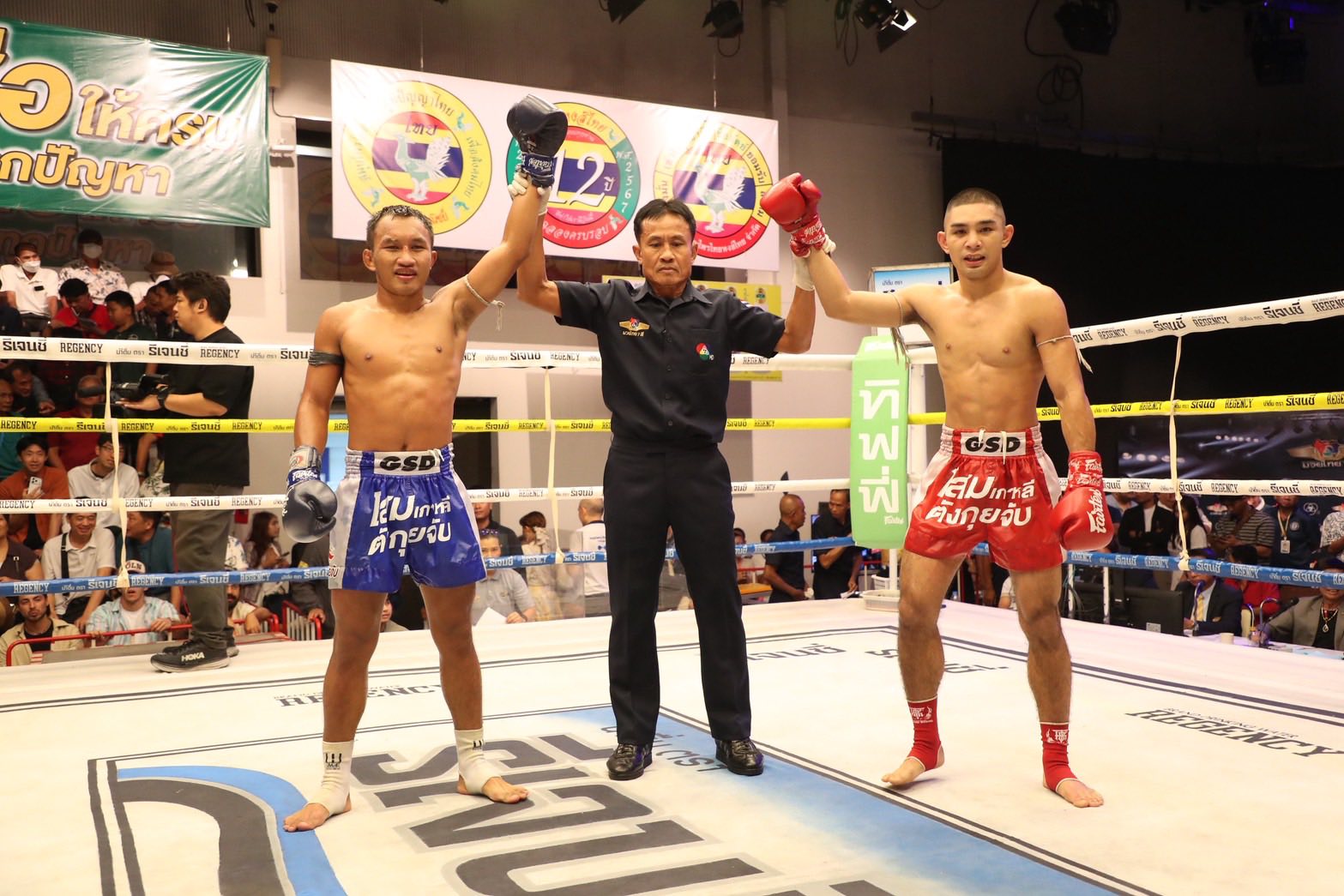 Muaythai-News