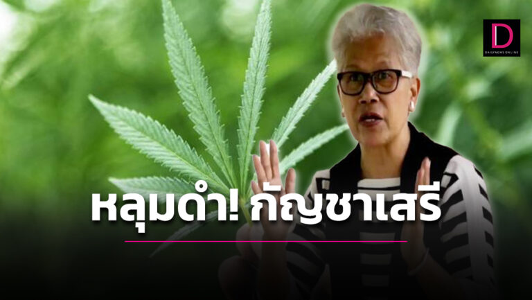 ‘การเมือง-แพทย์’ ใครรับผิดชอบปล่อยกัญชาเสรีสร้างหลุมดำเด็กเยาวชน