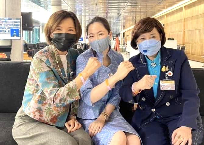 3 ใบเถา
