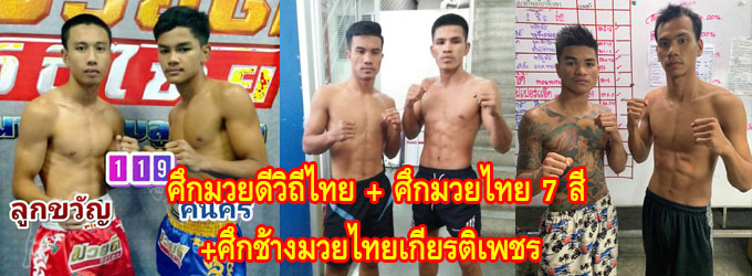 ศึกมวยดีวิถีไทย+ศึกมวยไทย7สี+ศึกช้างมวยไทยเกียรติเพชร