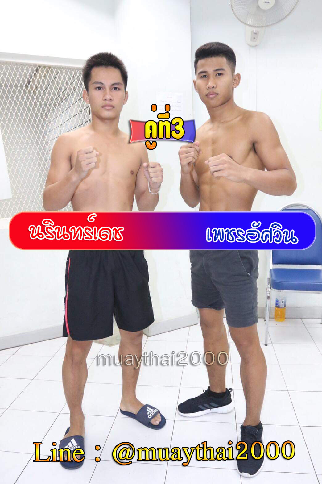 นรินทร์เดช-เพชรอัศวิน