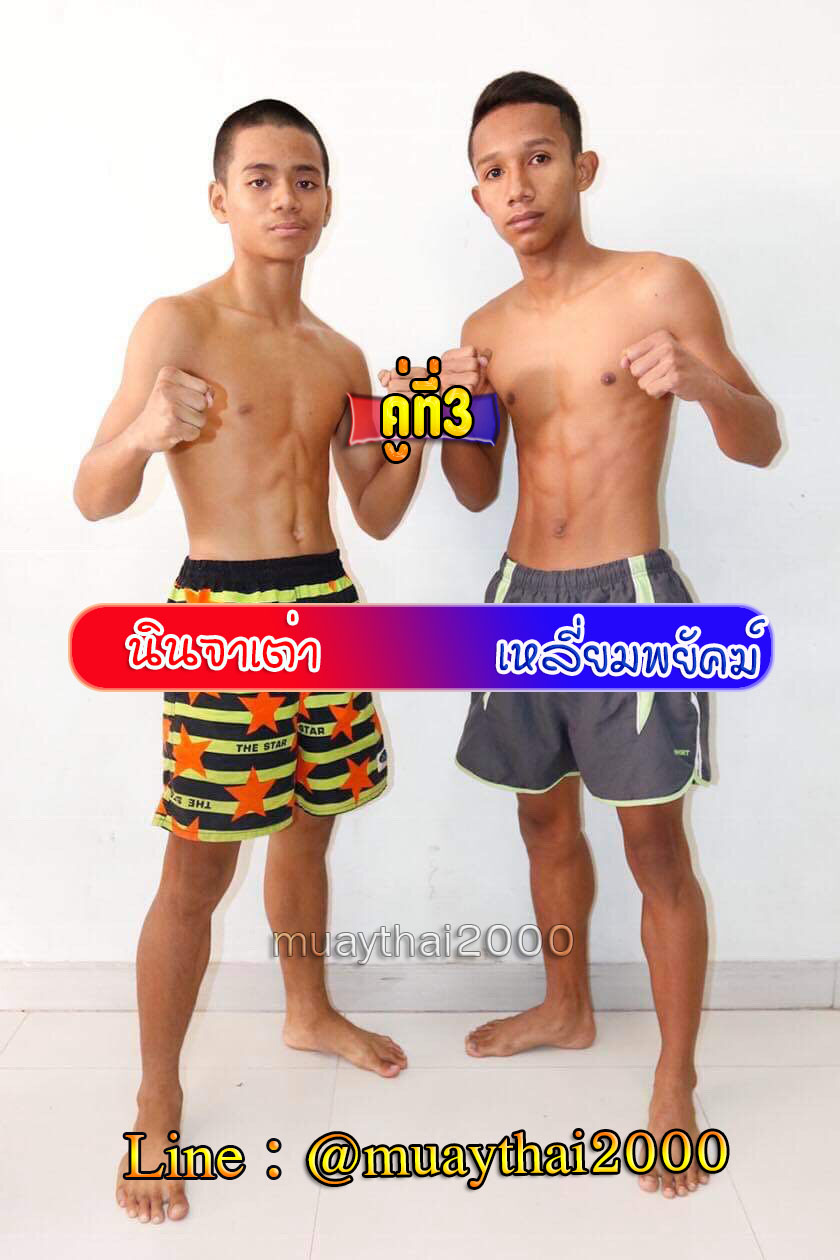 นินจาเต่า-เหลี่ยมพยัคฆ์