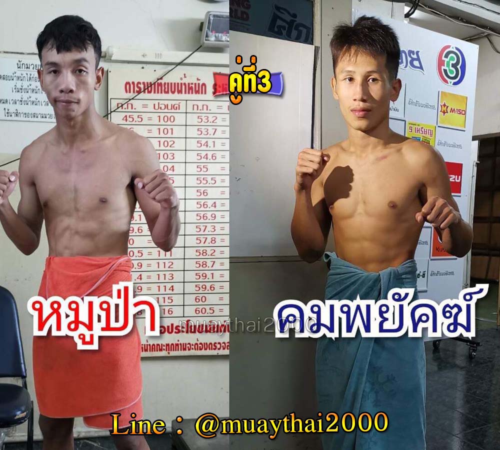 หมูป่า-คมพยัคฆ์