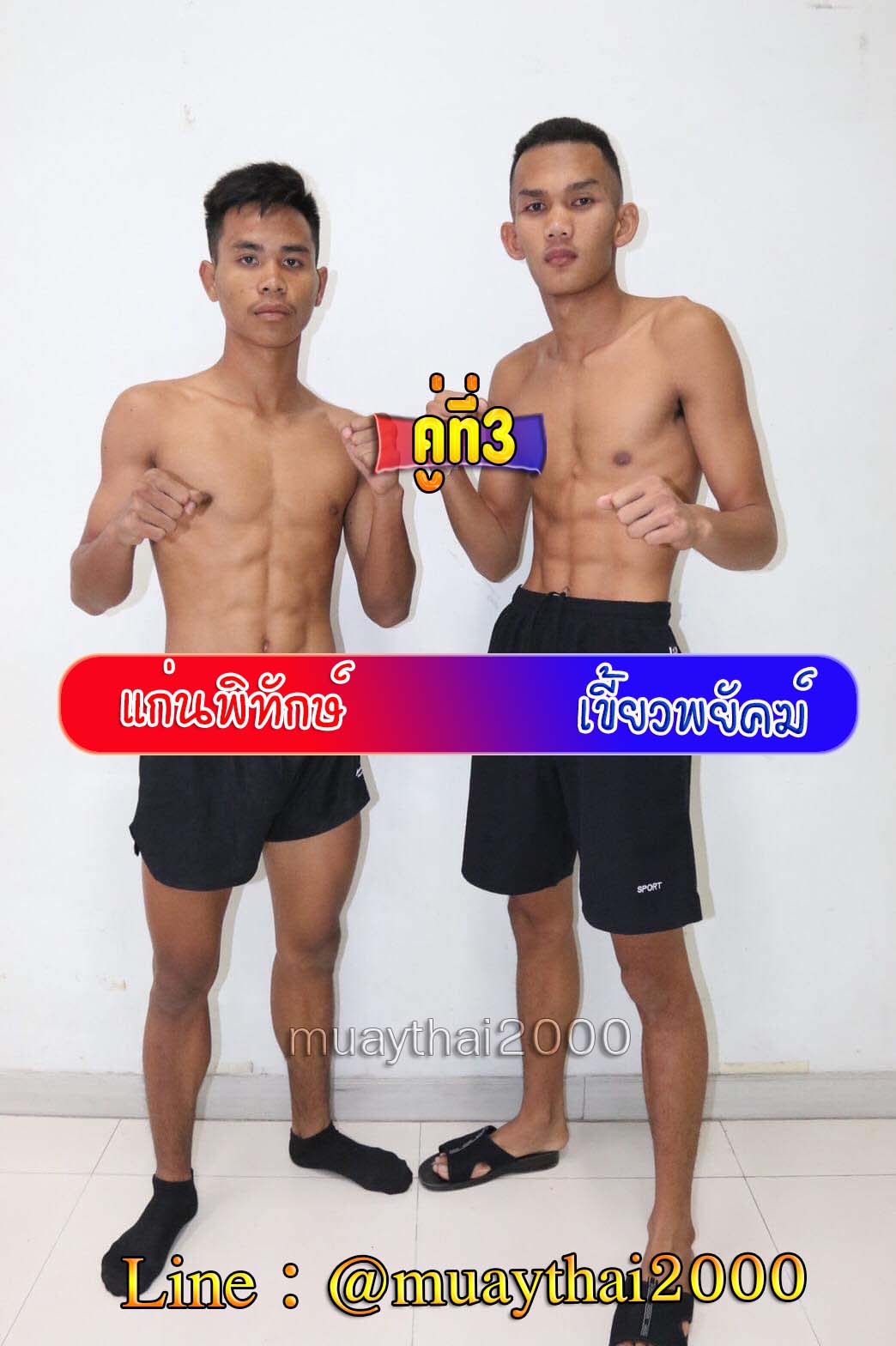 แก่นพิทักษ์-เขี้ยวพยัคฆ์