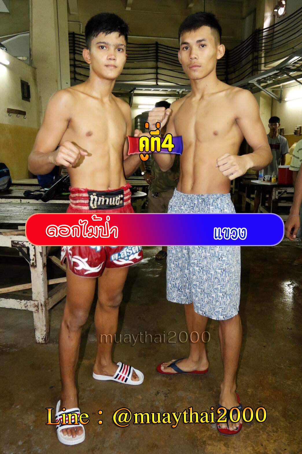 ดอกไม้ป่า-แขวง