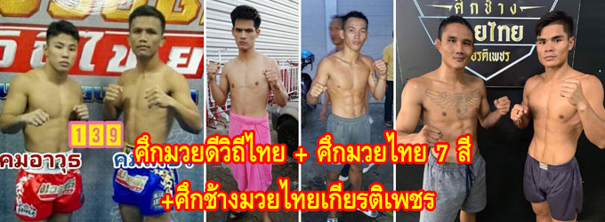 ศึกมวยดีวิถีไทย+ศึกมวยไทย7สี+ศึกช้างมวยไทยเกียรติเพชร