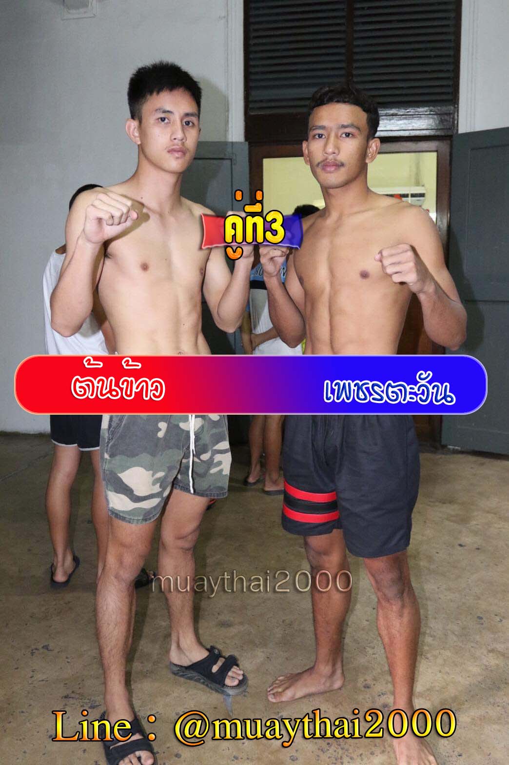 ต้นข้าว-เพชรตะวัน