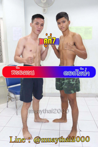 Promrob_Dakmaipar_7-1