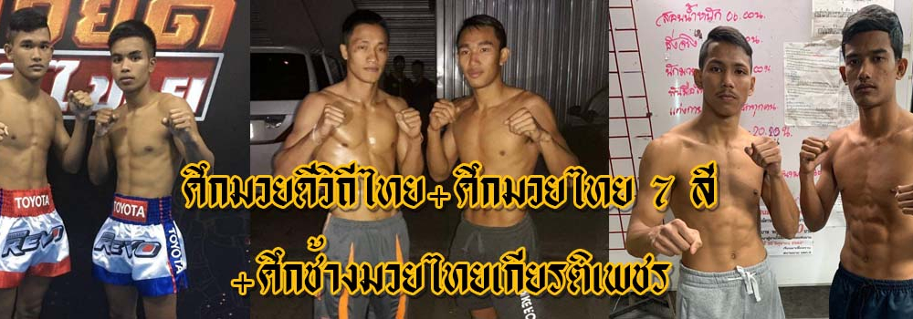 ศึกมวยดีวิถีไทย+ศึกมวยไทย7สี+ศึกช้างมวยไทยเกียรติเพชร