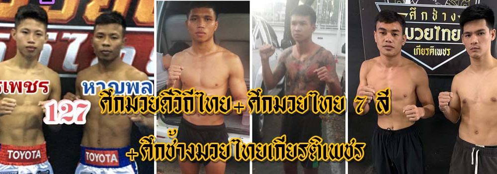 ศึกมวยดีวิถีไทย+ศึกมวยไทย7สี+ศึกช้างมวยไทยเกียรติเพชร