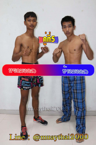 Yokmongkhol_Changphuak_5-1