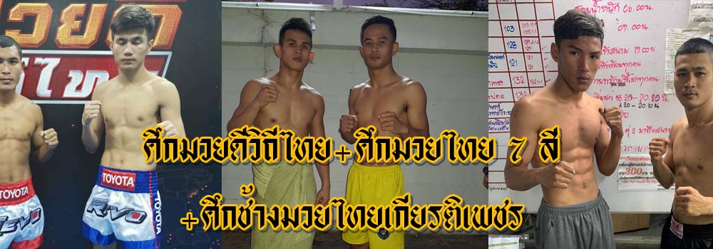 ศึกมวยดีวิถีไทย+ศึกมวยไทย7สี+ศึกช้างมวยไทยเกียรติเพชร