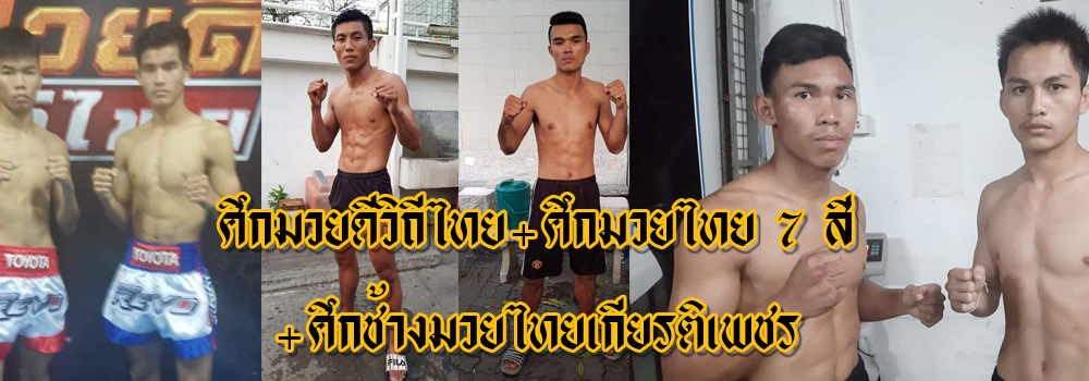 ศึกมวยดีวิถีไทย+ศึกมวยไทย7สี+ศึกช้างมวยไทยเกียรติเพชร