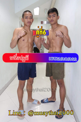 Nuangpatahpee_Phetseksan_6-1
