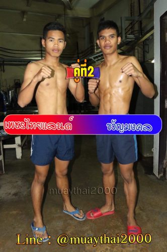Phetthailand_Kwanmongkhol_2-1