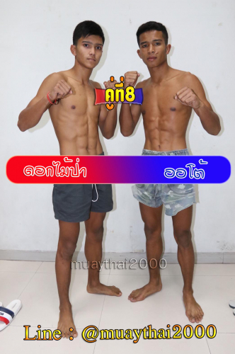 Dokmaipar_Orto_8-1
