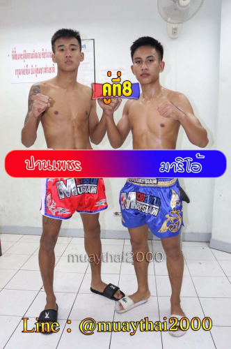 Panphet_Mario_8-1