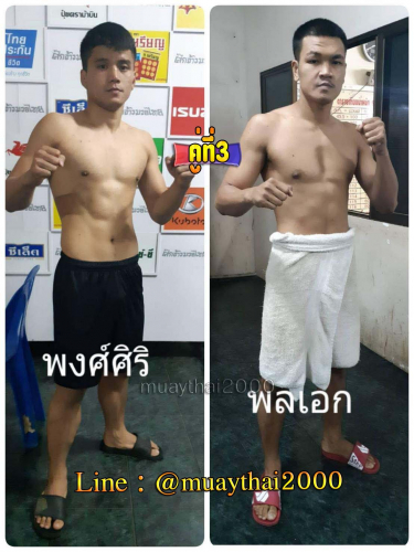 Phongsiri_Polek_3-1
