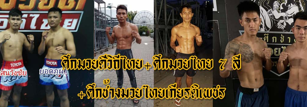 ศึกมวยดีวิถีไทย+ศึกมวยไทย7สี+ศึกช้างมวยไทยเกียรติเพชร