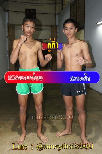 Phetmaengpong_Sayfar_1-1