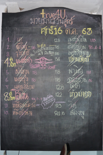 S__19021880