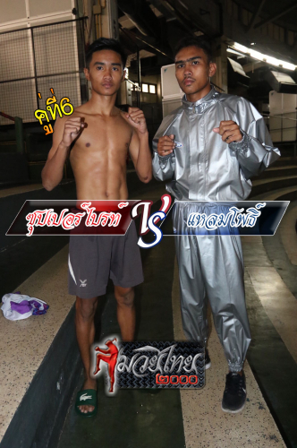 Supperbrait_Laempor_6-1