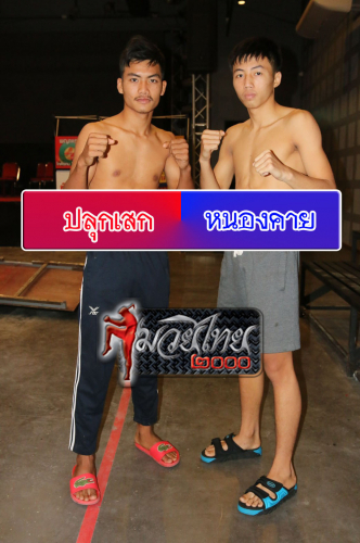 Pluksek_Nongkhay_4-1