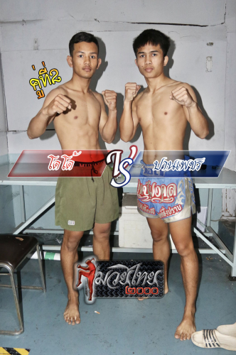 Dodo_Panphet_2-1