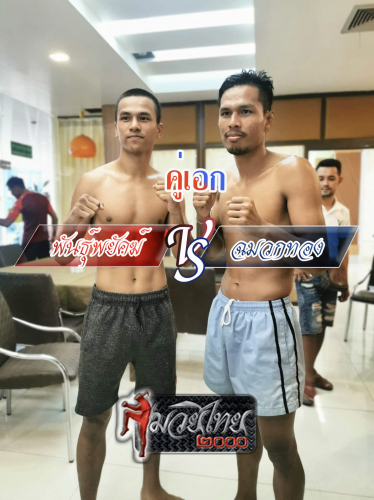 Phanphayak_Chamuakthong_8-1
