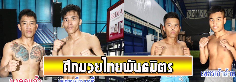 ศึกมวยไทยพันธมิตร