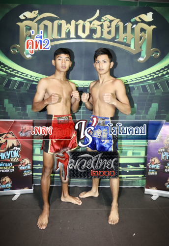 Pleng_Robochop_2-1