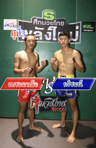Phettasua_Krichmani_3-1