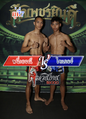 Nuengthorani_Tiger_7-1