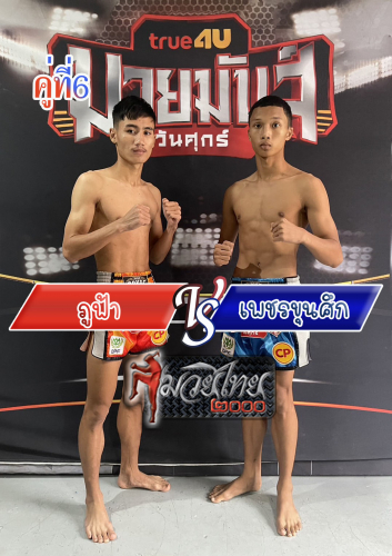 Phufar_Phetkhunsuk_6-1