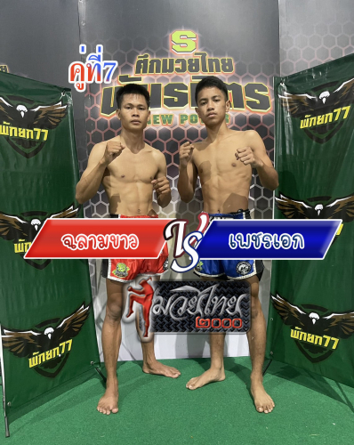 Chalamkao_Petek_7-1