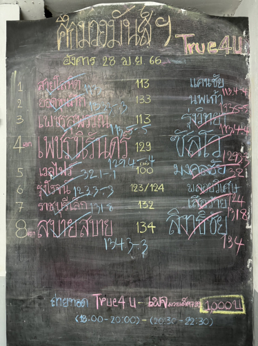 program