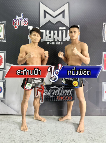 Sathanfar_Nuengpichit_8-1