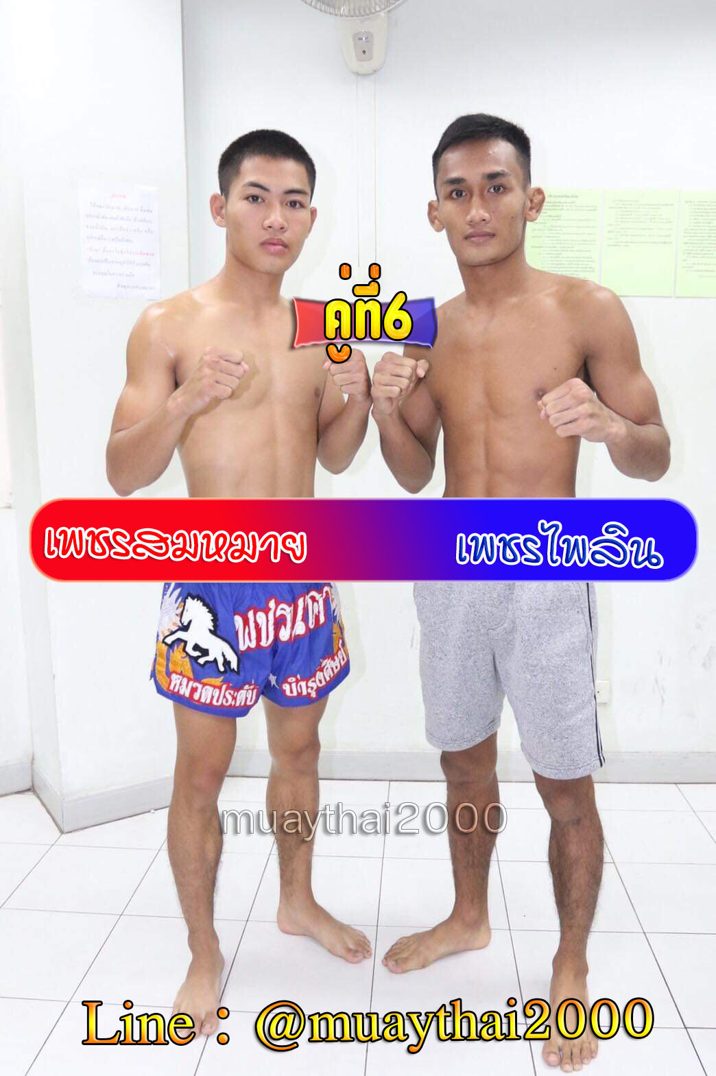 เพชรสมหมาย-เพชรไพลิน