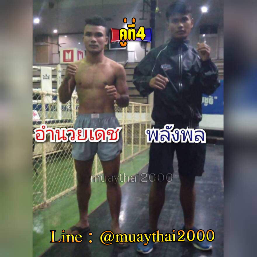 อำนวยเดช-พลังพล