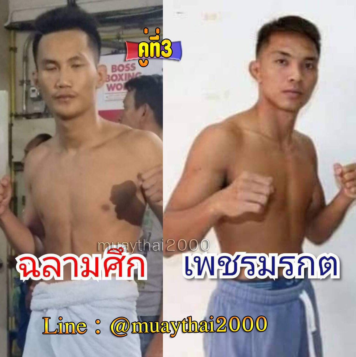 ฉลามศึก-เพชรมรกต